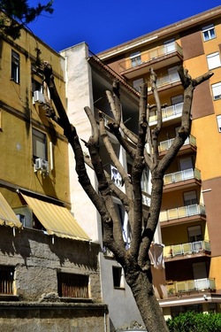 PERIFERIE fotografie di Giulio Azzarello ©2019.