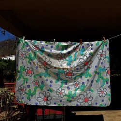 GIARDINO SICILIANO. Fotografie di Giulio Azzarello ©2022. GIARDINO SICILIANO. Fotografie di Giulio Azzarello ©2022.