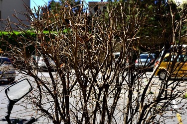 PERIFERIE fotografie di Giulio Azzarello ©2019.