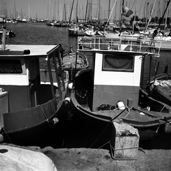 BARCHE fotografie di Giulio Azzarello &copy;2021.