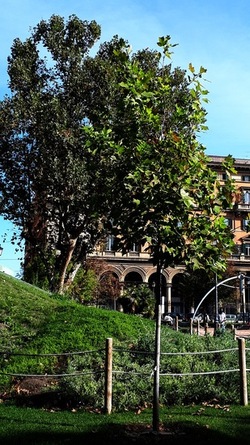 ROMA fotografie di Giulio Azzarello &copy;2022.