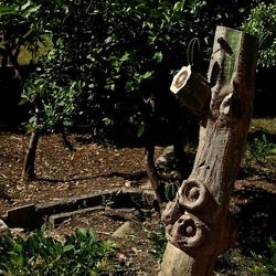 GIARDINO SICILIANO. Fotografie di Giulio Azzarello ©2022. GIARDINO SICILIANO. Fotografie di Giulio Azzarello ©2022.