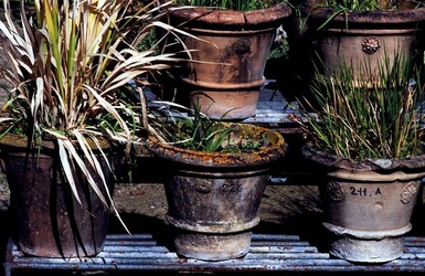 ORTO BOTANICO di Palermo. Fotografie di Giulio Azzarello ©2021.