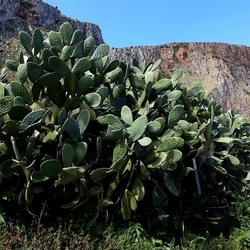 RISERVA NATURALE. Fotografie di Giulio Azzarello &copy;2022.