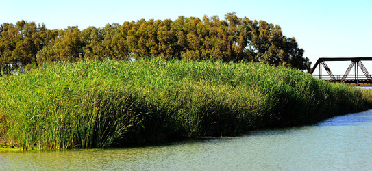 CANNETI in SICILIA. Fotografie di Giulio Azzarello &copy;2016.