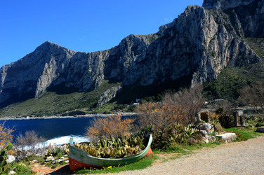 CAPO GALLO riserva marina e naturalistica a Palermo panoramiche e particolari. Fotografie di Giulio Azzarello ©2014. CAPO GALLO riserva marina e naturalistica a Palermo panoramiche e particolari. Fotografie di Giulio Azzarello ©2014.