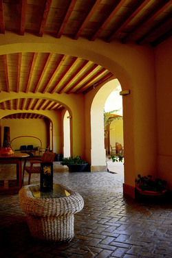 TENUTA vitivinicola in Sicilia. Fotografie di Giulio Azzarello ©2016. TENUTA vitivinicola in Sicilia. Fotografie di Giulio Azzarello ©2016.