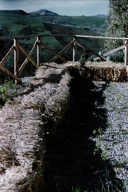 DIGITALIZZAZIONI fotografie di Giulio Azzarello &copy;2020.