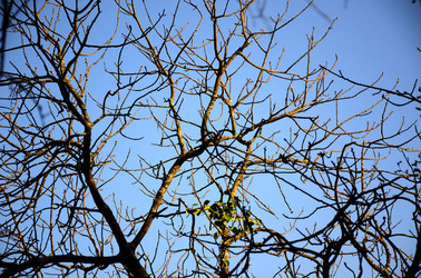 GOLE DELL ALCANTARA in Sicilia. Fotografie di Giulio Azzarello &copy;2016.