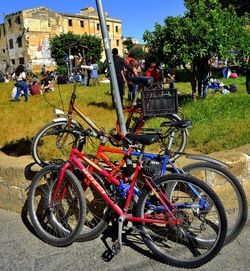 PRIMO MAGGIO fotografie di Giulio Azzarello ©2019. PRIMO MAGGIO fotografie di Giulio Azzarello ©2019.