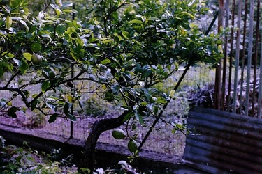 DIGITALIZZAZIONI fotografie di Giulio Azzarello &copy;2020.