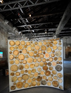 BIENNALE di ARCHITETTURA di VENEZIA giugno 2018. Foto di G.Azzarello ©2018. BIENNALE di ARCHITETTURA di VENEZIA giugno 2018. Foto di G.Azzarello ©2018.