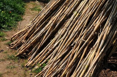 IL CANNETO del contadino siciliano. Fotografie di Giulio Azzarello &copy;2014.