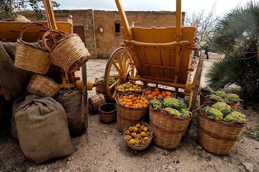 IL PRESEPE VIVENTE DI CUSTONACI in Sicilia. Fotografie di Giulio Azzarello ©2014. IL PRESEPE VIVENTE DI CUSTONACI in Sicilia. Fotografie di Giulio Azzarello ©2014.