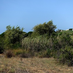 SELINUNTE. Fotografie di Giulio Azzarello ©2022. SELINUNTE. Fotografie di Giulio Azzarello ©2022.