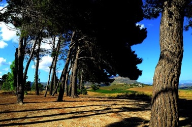 SEGESTA sito archeologico. Fotografie di Giulio Azzarello ©2018.