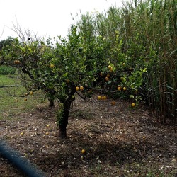 CAMMINANDO. Fotografie di Giulio Azzarello &copy;2024.