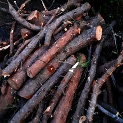 INVERNO. Fotografie di Giulio Azzarello &copy;2023.