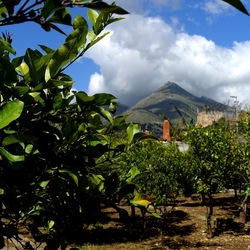 GIARDINO SICILIANO. Fotografie di Giulio Azzarello &copy;2024.