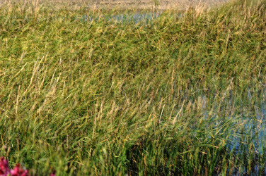 PAESAGGIO SICILIANO nel luogo delle macalube in Sicilia. Fotografie di Giulio Azzarello &copy;2014.
