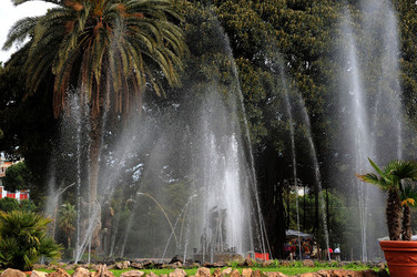 IL GIARDINO INGLESE di Palermo. Fotografie di Giulio Azzarello &copy;2014.