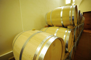 BOTTI per il vino. Fotografie di Giulio Azzarello ©2016. BOTTI per il vino. Fotografie di Giulio Azzarello ©2016.