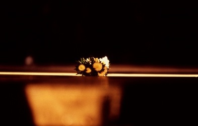 SPETTACOLO TEATRALE alla memoria di P.Borsellino. Fotografie di Giulio Azzarello ©2021. SPETTACOLO TEATRALE alla memoria di P.Borsellino. Fotografie di Giulio Azzarello ©2021.