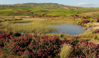 PAESAGGIO SICILIANO nel luogo delle macalube in Sicilia. Fotografie di Giulio Azzarello &copy;2014.