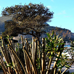 MONDELLO di inverno. Fotografie di Giulio Azzarello &copy;2016.