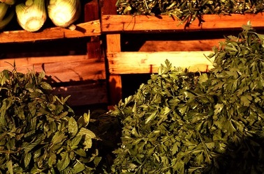 VUCCIRIA anni 90. Fotografie di Giulio Azzarello ©2022. VUCCIRIA anni 90. Fotografie di Giulio Azzarello ©2022.