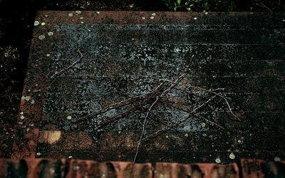 DIGITALIZZAZIONI fotografie di Giulio Azzarello &copy;2020.