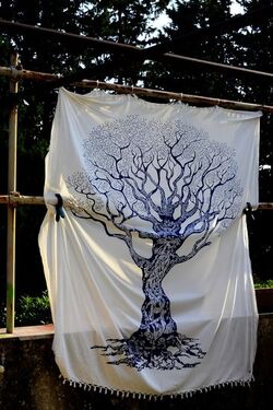 STILL LIFE ASSURDI fotografie di Giulio Azzarello ©2021.