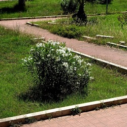 SAN VITO LO CAPO. Fotografie di Giulio Azzarello &copy;2023.
