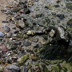 MONDELLO. Fotografie di Giulio Azzarello &copy;2022.