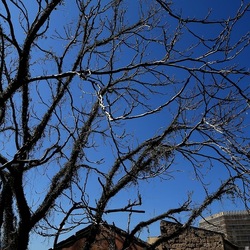 Arabo Normanno. Fotografie di Giulio Azzarello ©2024. Arabo Normanno. Fotografie di Giulio Azzarello ©2024.