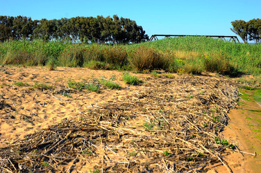 CANNETI in SICILIA. Fotografie di Giulio Azzarello &copy;2016.
