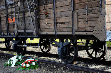 AUSCHIWITZ BIRKENAU il luogo della storia il campo. Fotografie di Giulio Azzarello &copy;2016.