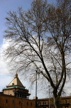 VILLA BONANNO a Palermo. Fotografie di Giulio Azzarello &copy;2016.