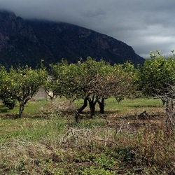 CAMMINANDO. Fotografie di Giulio Azzarello &copy;2024.