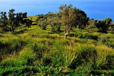 FIUMARA D ARTE fotografie di Giulio Azzarello &copy;2019.