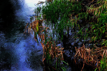PAESAGGIO CATANESE panoramiche e particolari. Fotografie di Giulio Azzarello &copy;2014.