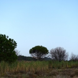 SELINUNTE. Fotografie di Giulio Azzarello ©2022. SELINUNTE. Fotografie di Giulio Azzarello ©2022.