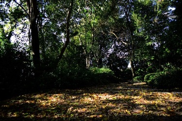 VENEZIA Giardini della Biennale di Arch. Cont.. Fotografie di Giulio Azzarello ©2022.