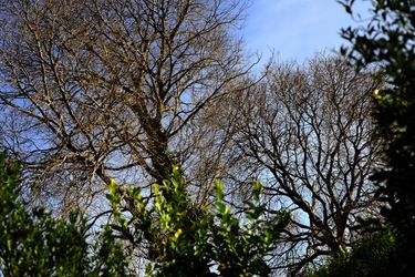 CAMPAGNA fotografie di Giulio Azzarello ©2020.