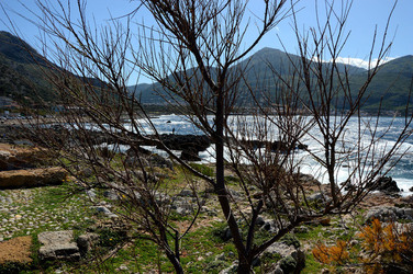 CAPO GALLO riserva marina e naturalistica a Palermo panoramiche e particolari. Fotografie di Giulio Azzarello ©2014. CAPO GALLO riserva marina e naturalistica a Palermo panoramiche e particolari. Fotografie di Giulio Azzarello ©2014.