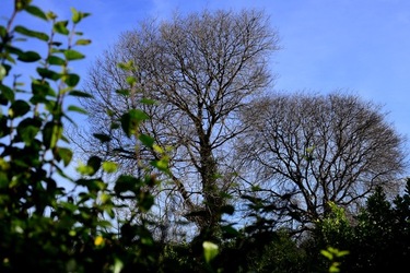 CAMPAGNA fotografie di Giulio Azzarello ©2020.