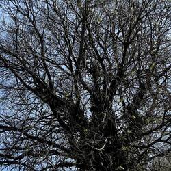 PIANTE. Fotografie di Giulio Azzarello &copy;2022.