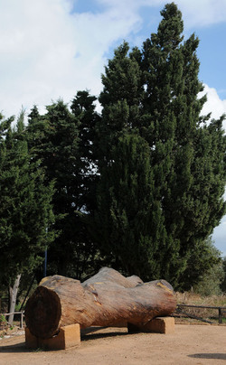 LUIGI PIRANDELLO il parco e la casa museo. Fotografie di Giulio Azzarello ©2014.
