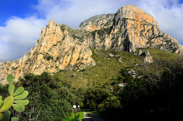MACCHIA MEDITERRANEA in Sicilia. Fotografie di Giulio Azzarello &copy;2106.