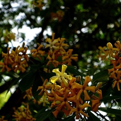 ORTO BOTANICO. Fotografie di Giulio Azzarello &copy;2024.
